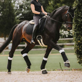 Bandasjeunderlag Working Absorb Hvit/Svart Bandasjeunderlag Working Absorb Hvit/Svart