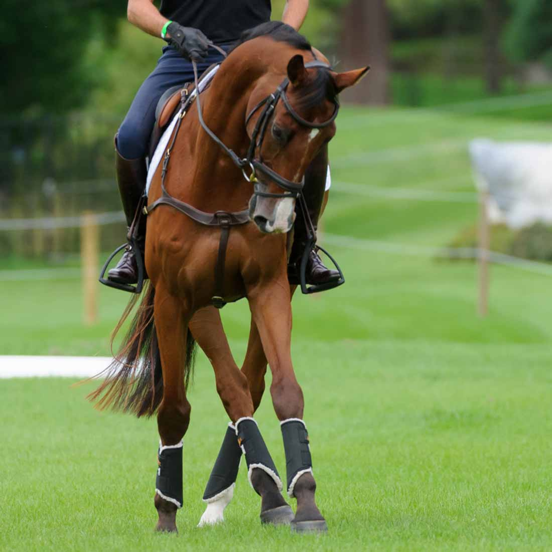 Treningsbeskyttere Solimbra Front Svart