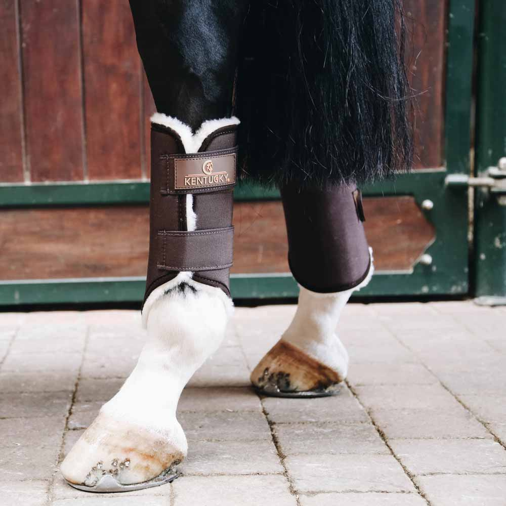 Treningsbeskyttere Solimbra Bak Brun