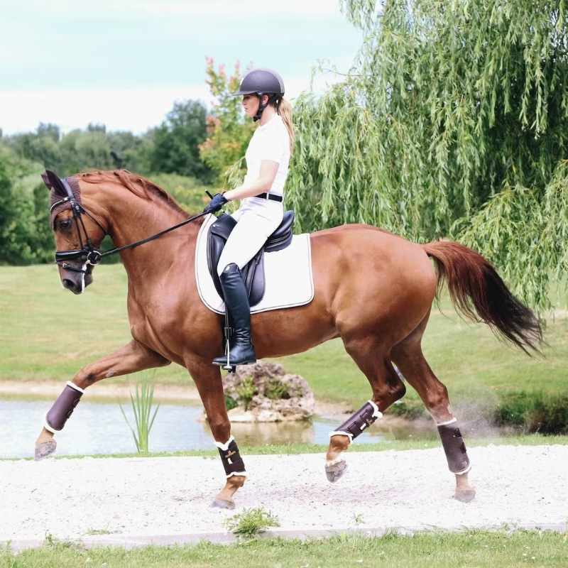 Treningsbeskyttere Leather Hind Brun