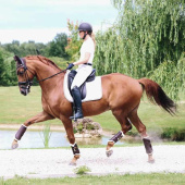 Treningsbeskyttere Leather Hind Brun Treningsbeskyttere Leather Hind Brun