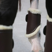 Treningsbeskyttere Leather Hind Short Brun Treningsbeskyttere Leather Hind Short Brun