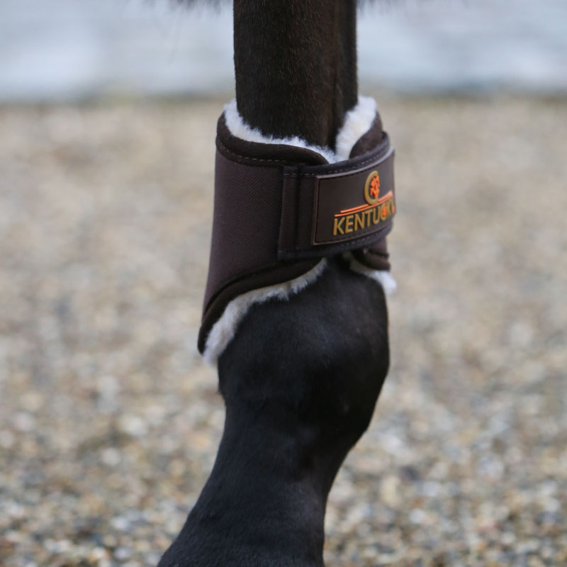 Treningsbeskyttere Solimbra Hind Short Brun