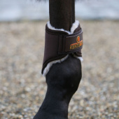 Treningsbeskyttere Solimbra Hind Short Brun Treningsbeskyttere Solimbra Hind Short Brun