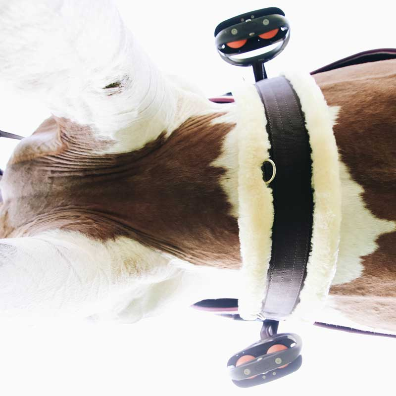 Salgjord Sheepskin Brun