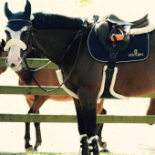 Plategjord Sheepskin Svart Plategjord Sheepskin Svart