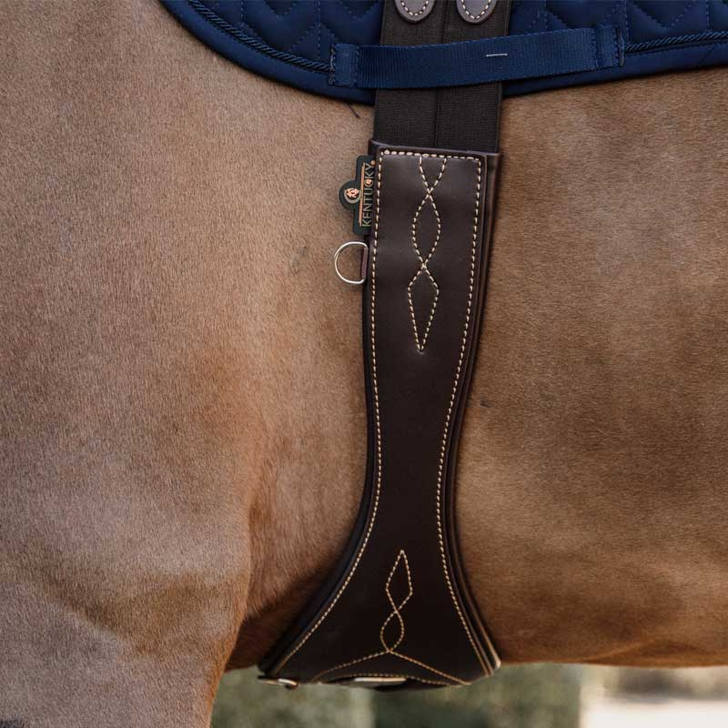 Anatomisk Salgjord Brun