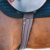 Salgjord Unghest Brun Salgjord Unghest Brun