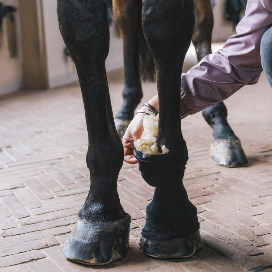 Ull Therapeutic 150g Natur