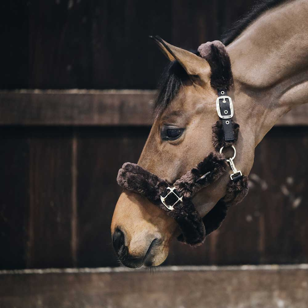 Transportgrime Sheepskin Brun