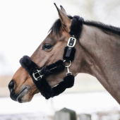 Transportgrime Sheepskin Svart Transportgrime Sheepskin Svart