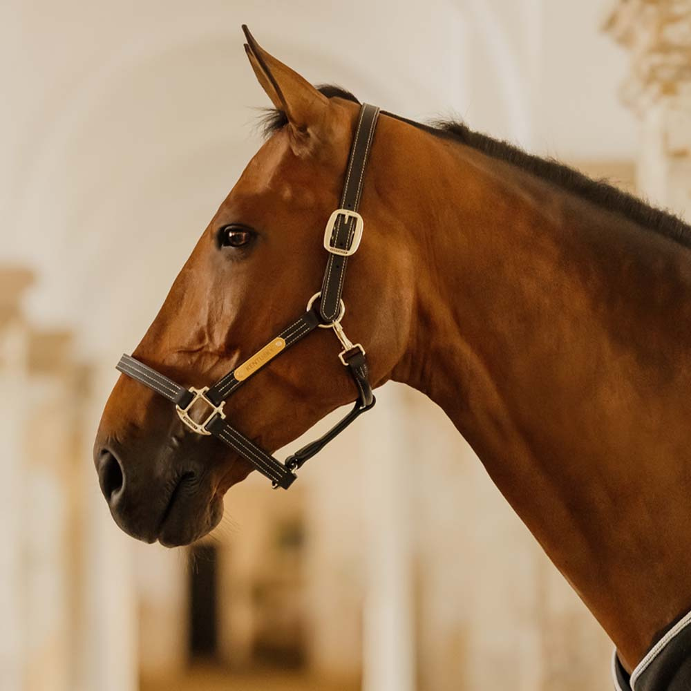 Lærgrime Artificial Wellington Svart