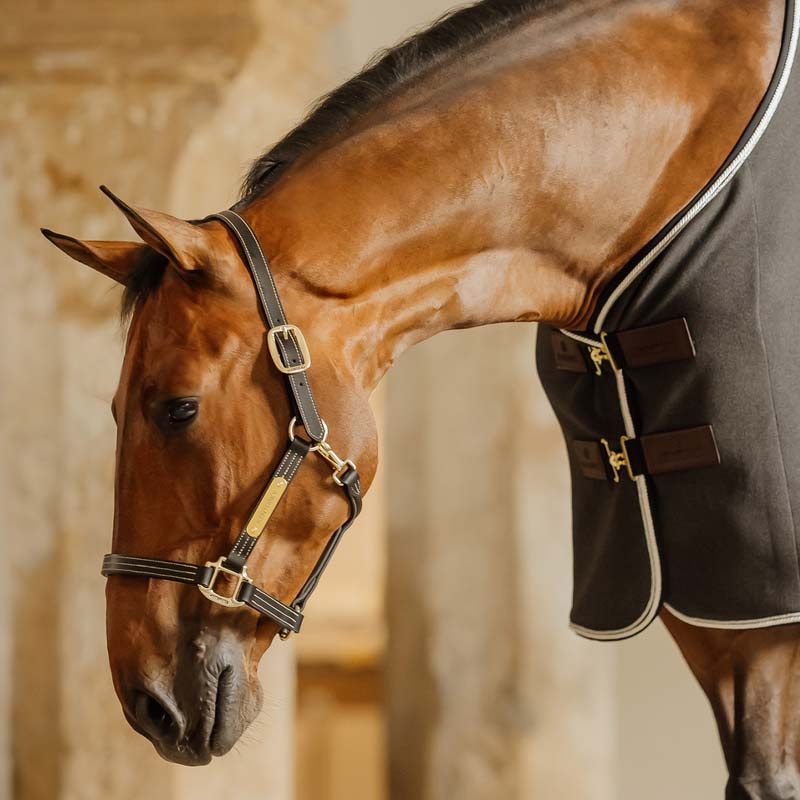 Lærgrime Artificial Wellington Svart