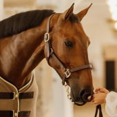 Lærgrime Artificial Wellington Brun Lærgrime Artificial Wellington Brun