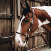 Groominggrime Artificial Leather Brun Groominggrime Artificial Leather Brun