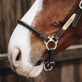 Groominggrime Artificial Leather Brun Groominggrime Artificial Leather Brun