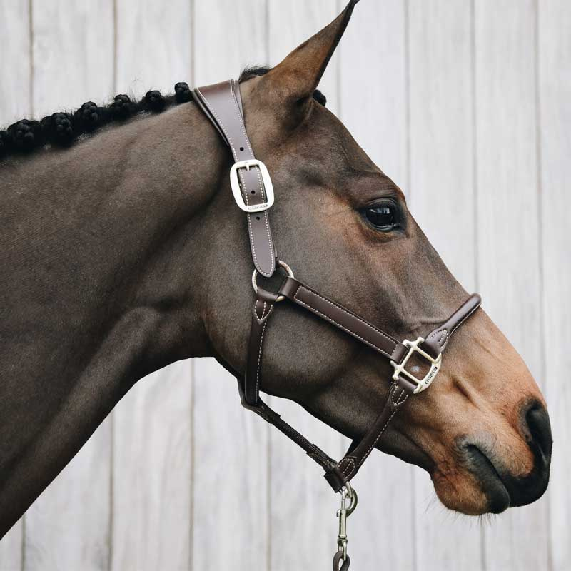 Anatomisk Kunstlærgrime Brun