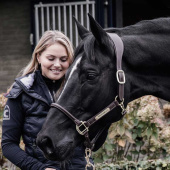 Anatomisk Kunstlærgrime Brun Anatomisk Kunstlærgrime Brun