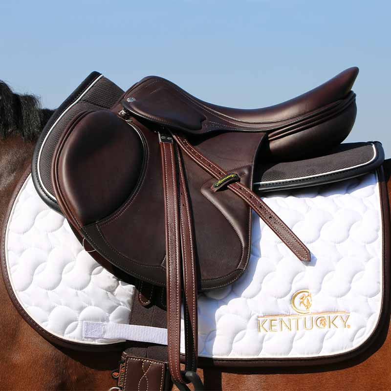Salpad Anatomic Absorb Svart