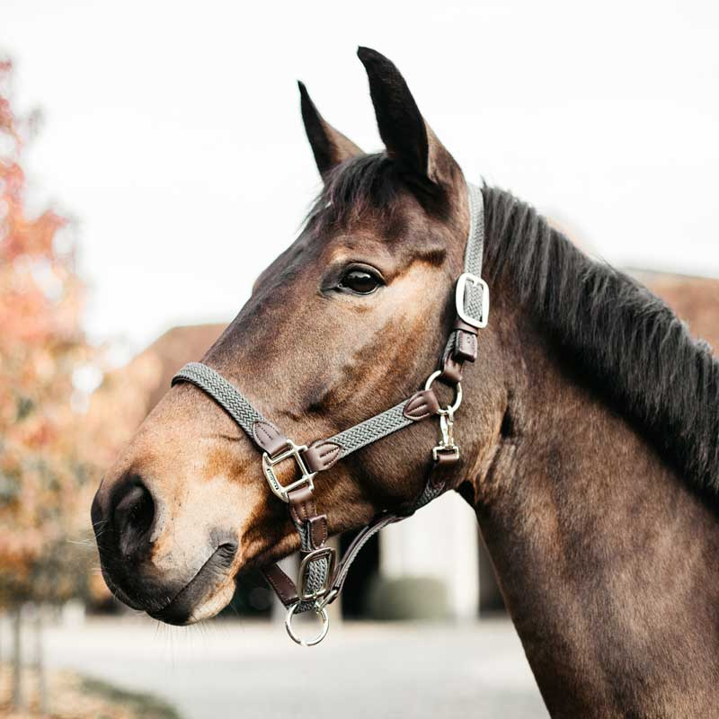 Grime Plaited Nylon Grå