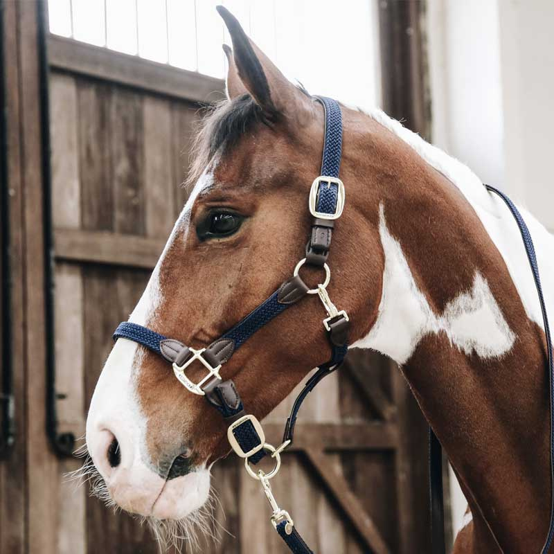 Grime Plaited Nylon Marineblå