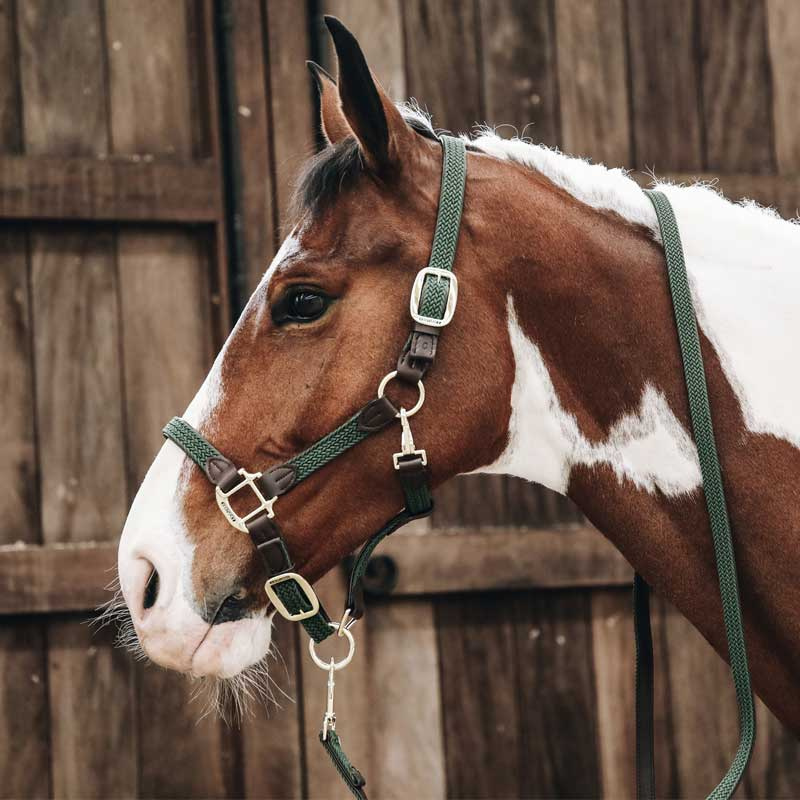 Grime Plaited Nylon Olivgrønn