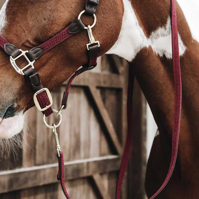 Leietau Plaited Nylon Bordeaux