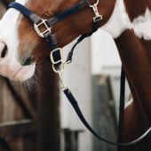 Leietau Plaited Nylon Marineblå Leietau Plaited Nylon Marineblå