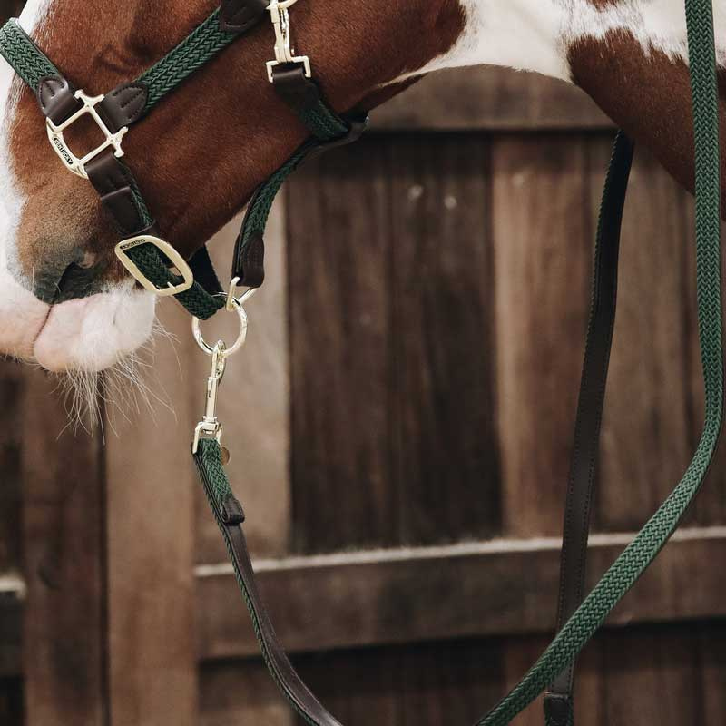 Leietau Plaited Nylon Olivgrønn