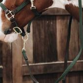 Leietau Plaited Nylon Olivgrønn Leietau Plaited Nylon Olivgrønn