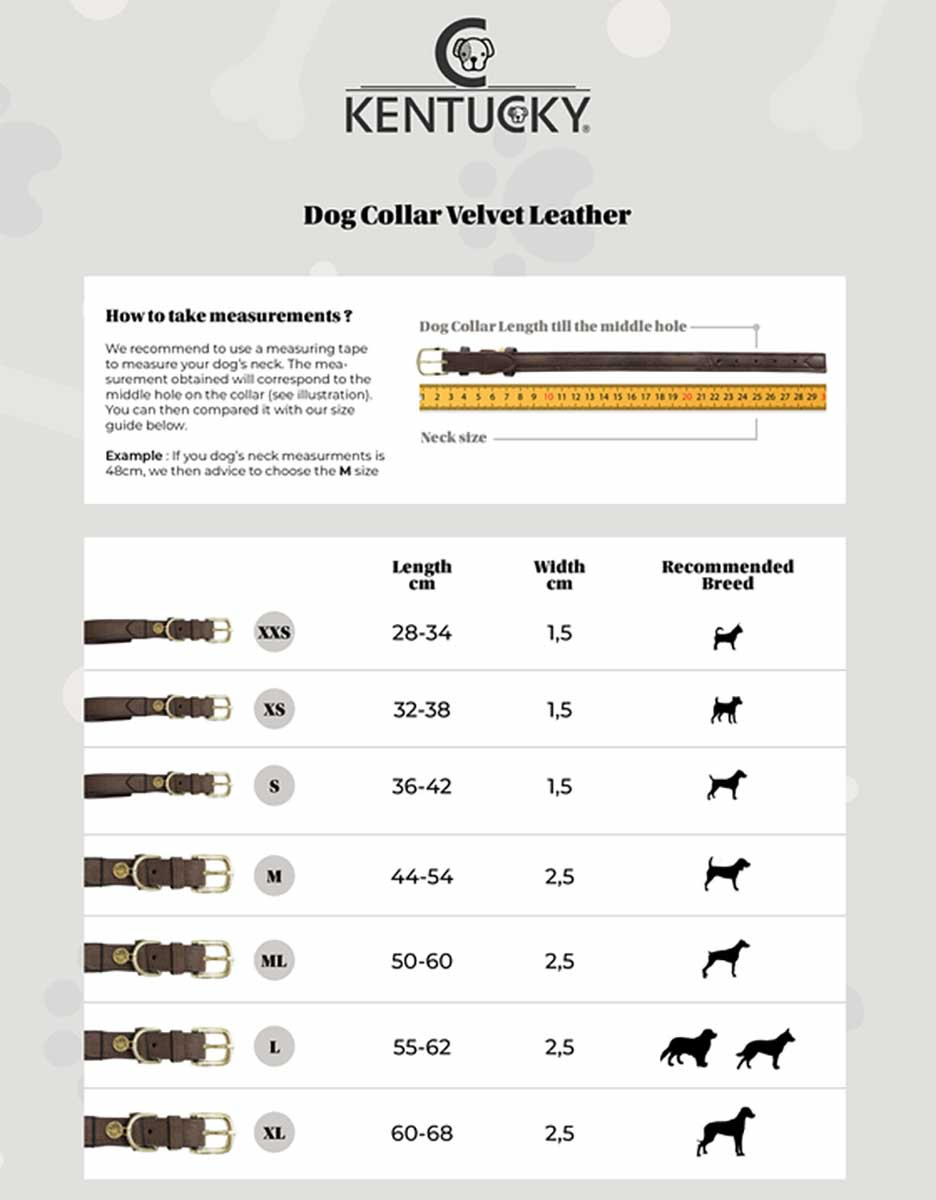 Hundehalsbånd Velvet Leather Brun