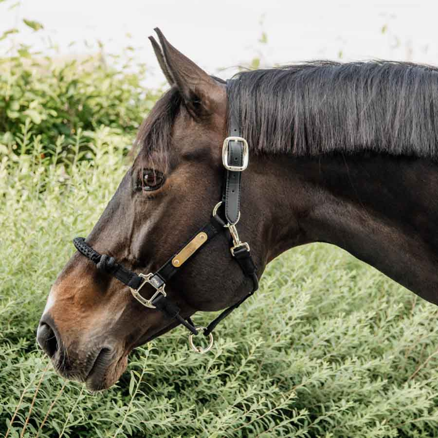 Grime Control Nylon Rope Svart