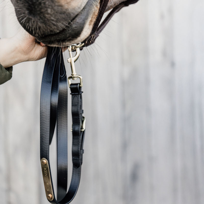 Leietau i lær Presentation Artificial Svart