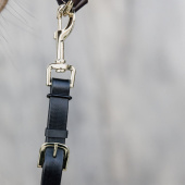 Leietau i lær Presentation Artificial Svart Leietau i lær Presentation Artificial Svart