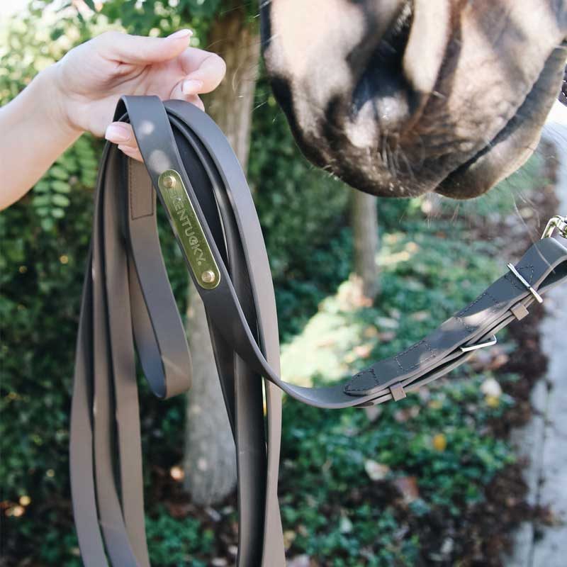 Hingsteleietau 4m Brun