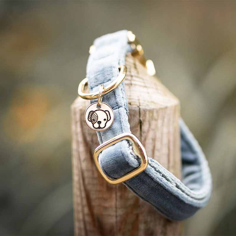 Hundehalsbånd Velvet Lyseblå