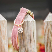 Hundehalsbånd Velvet Gammelrosa Hundehalsbånd Velvet Gammelrosa