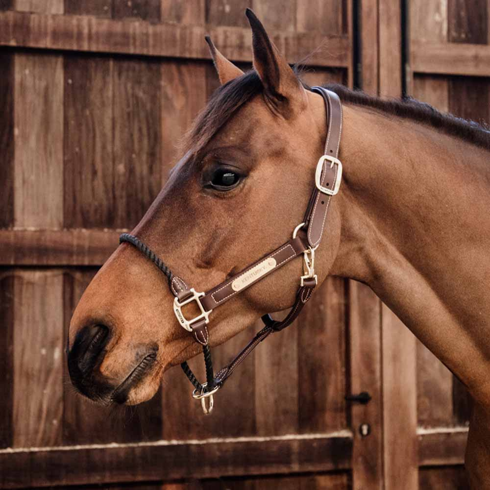 Lærgrime Rope Artificial Brun