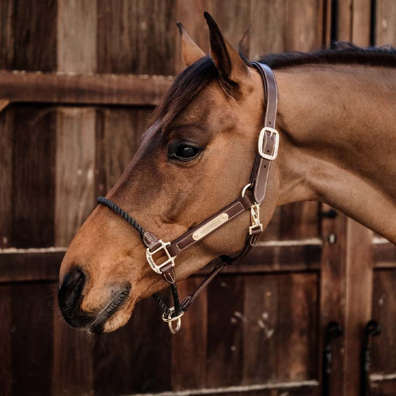 Lærgrime Rope Artificial Brun