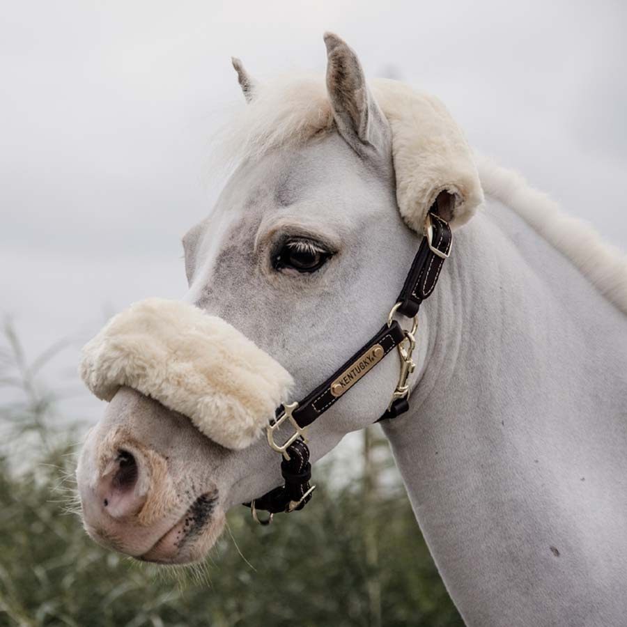 Lærgrime Pony Artificial Sheepskin Brun