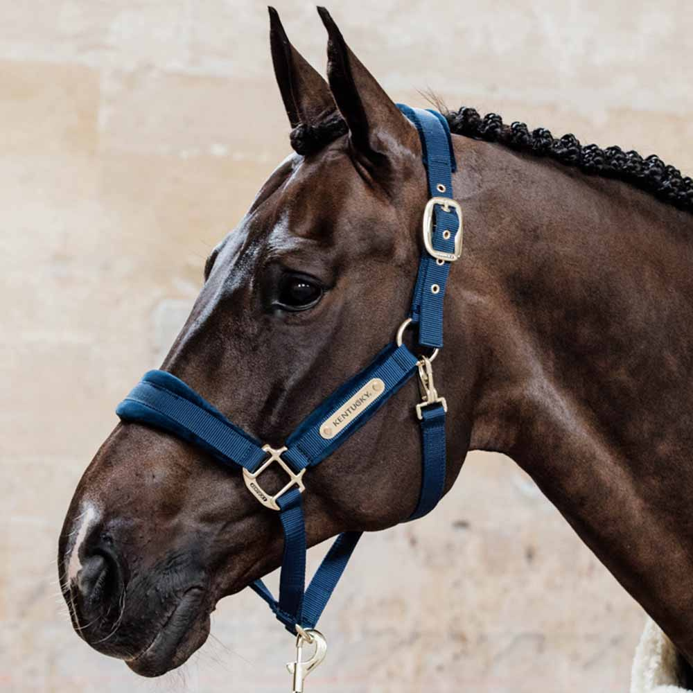 Grime Velvet Marineblå