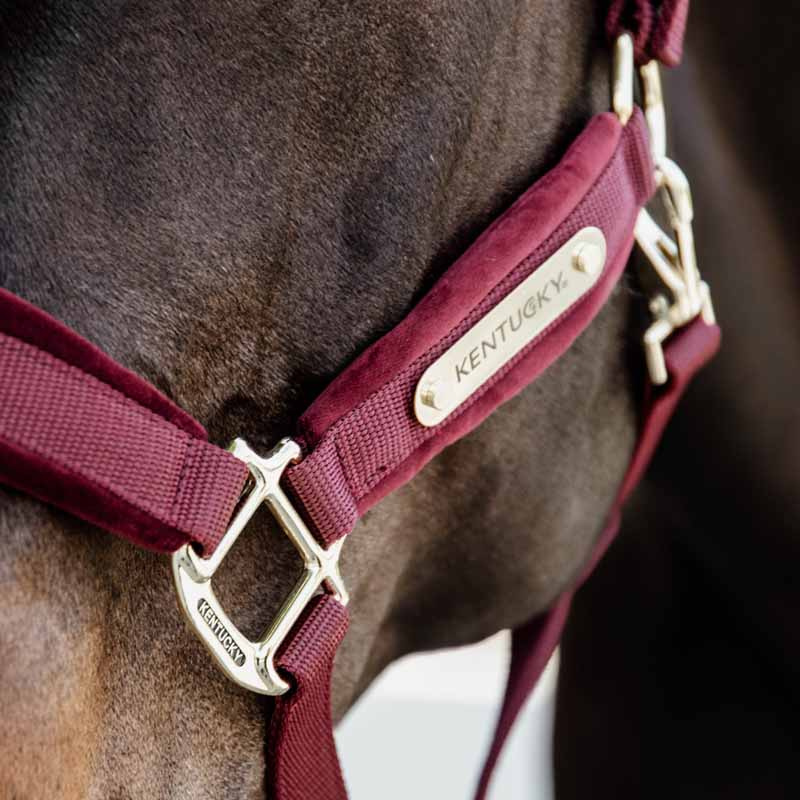 Grime Velvet Vinrød