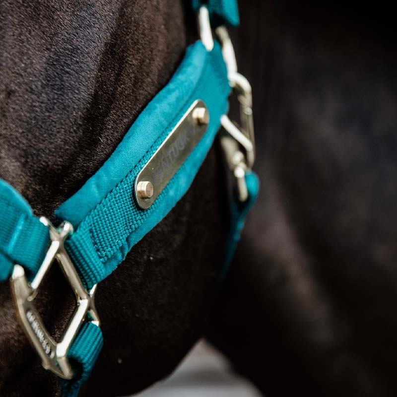 Grime Velvet Smaragdgrønn