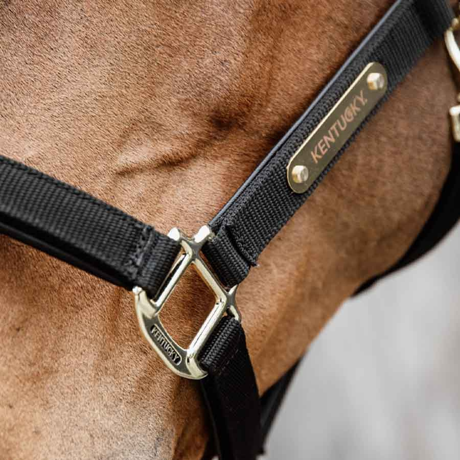 Grime Anatomic Nylon Svart