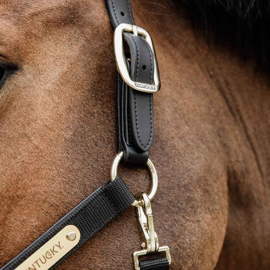 Grime Anatomic Nylon Svart