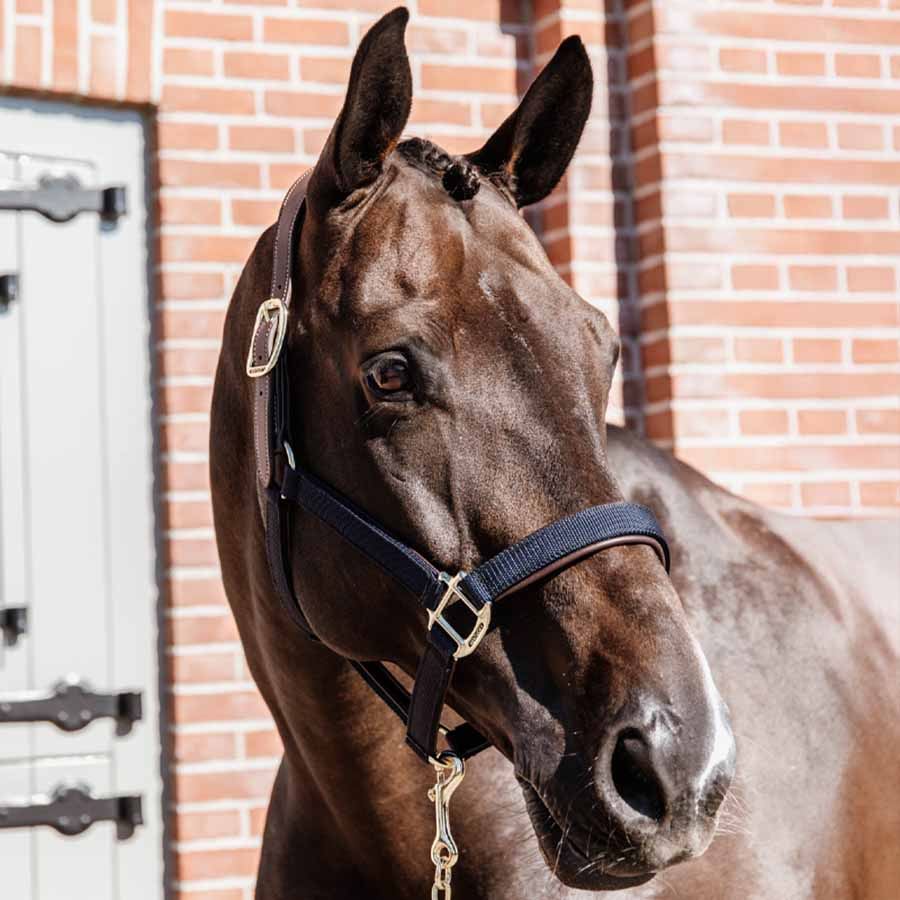 Grime Anatomic Nylon Marineblå