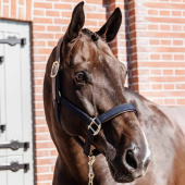 Grime Anatomic Nylon Marineblå Grime Anatomic Nylon Marineblå