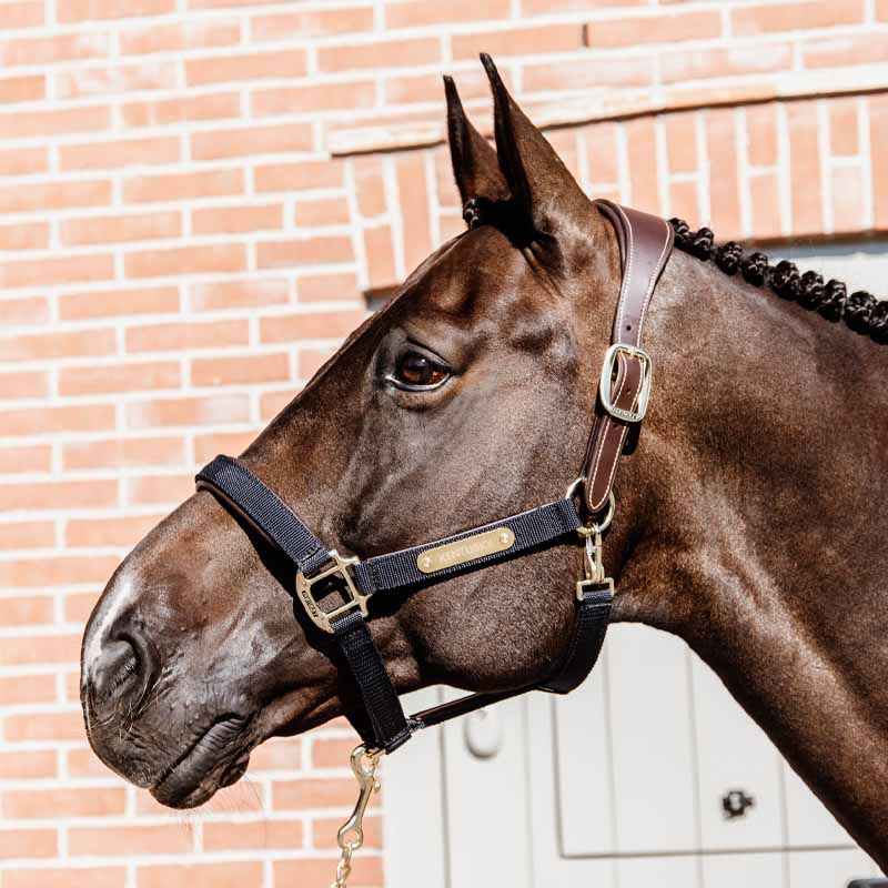 Grime Anatomic Nylon Marineblå