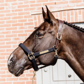 Grime Anatomic Nylon Marineblå Grime Anatomic Nylon Marineblå