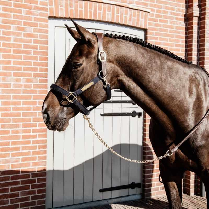 Leietau med Kjede Artificial Leather Brun